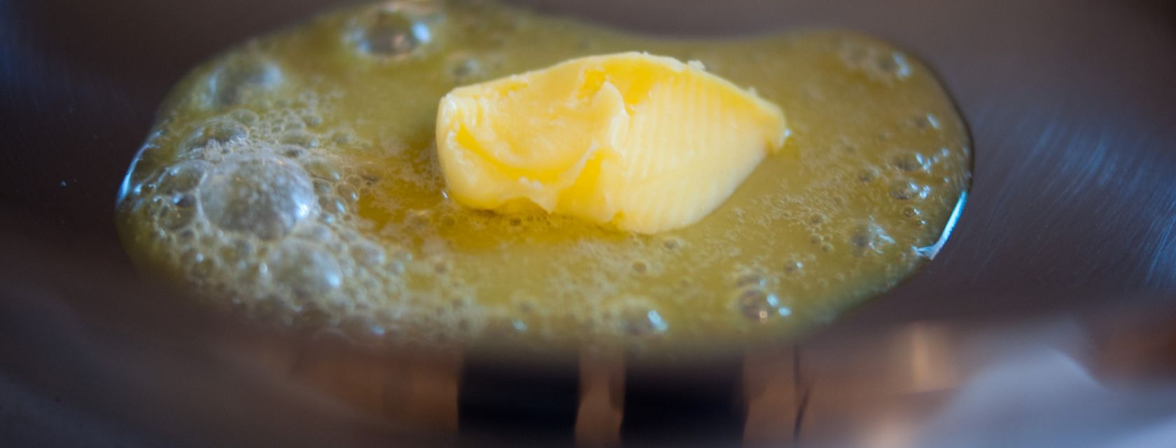 Kandidaten Vis Programma Gezocht