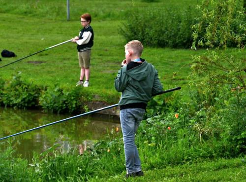 jpeg-optimizer PLG 2258