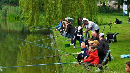 jpeg-optimizer PLG 2266