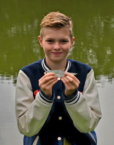 jpeg-optimizer PLG 2286