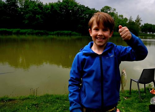 jpeg-optimizer PLG 2290