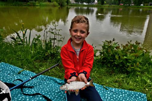 jpeg-optimizer PLG 2291